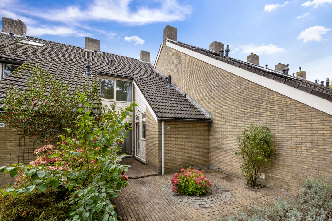 Foto 11 van Zuiderweg 203