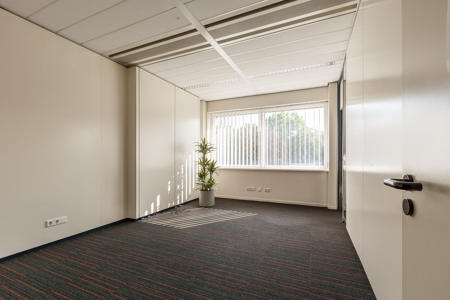 Bekijk foto 2 van Tormentil 1