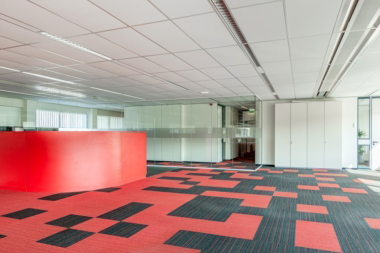 Bekijk foto 3 van Tormentil 1