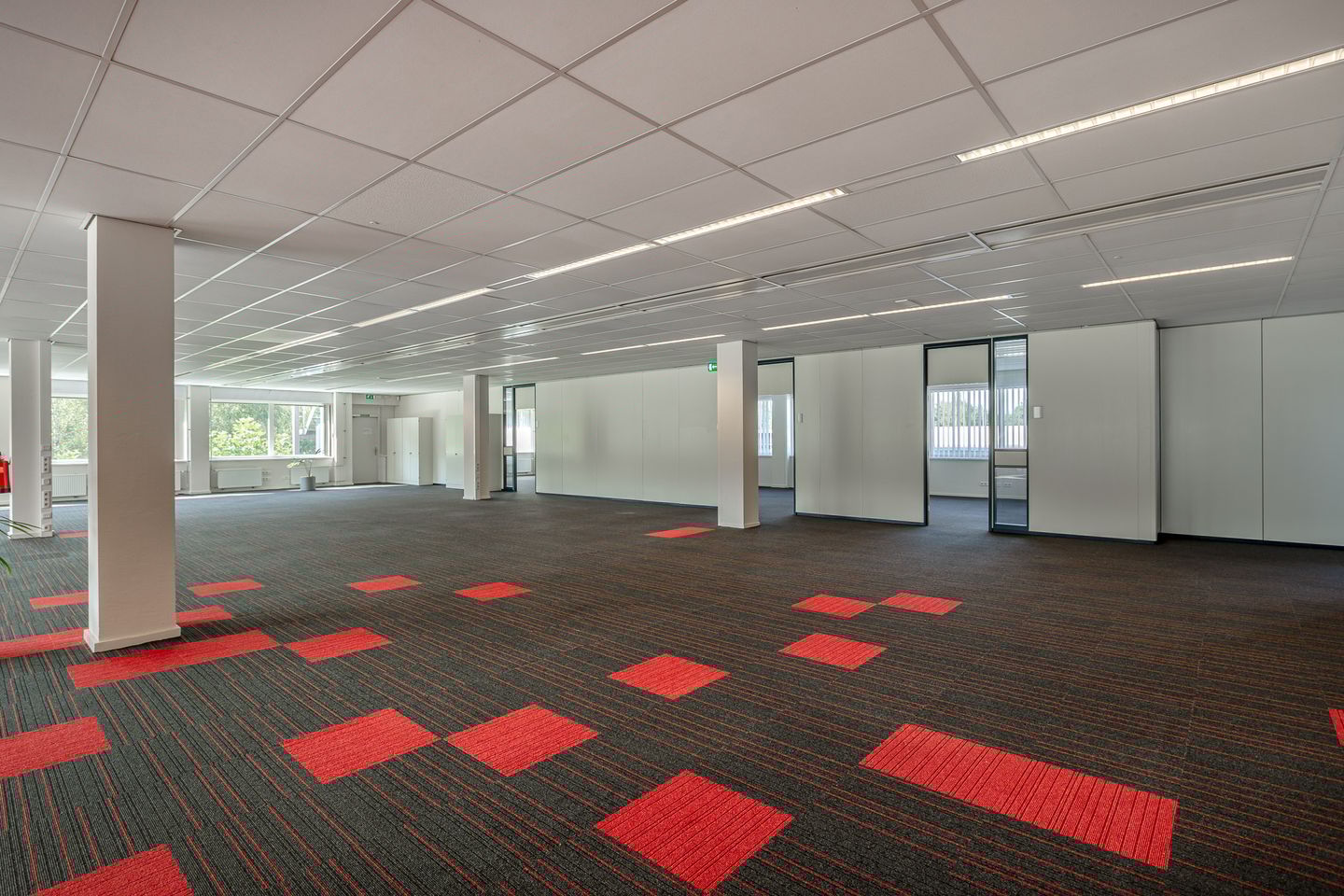 Bekijk foto 4 van Tormentil 1