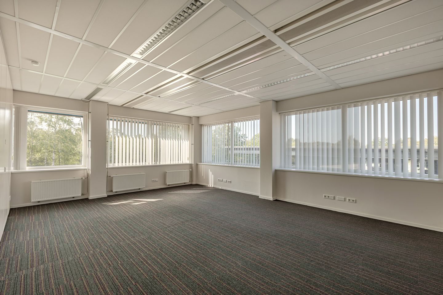 Bekijk foto 5 van Tormentil 1