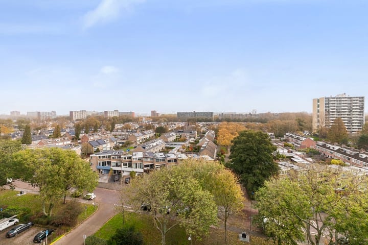 Foto 8 van Holysingel 242