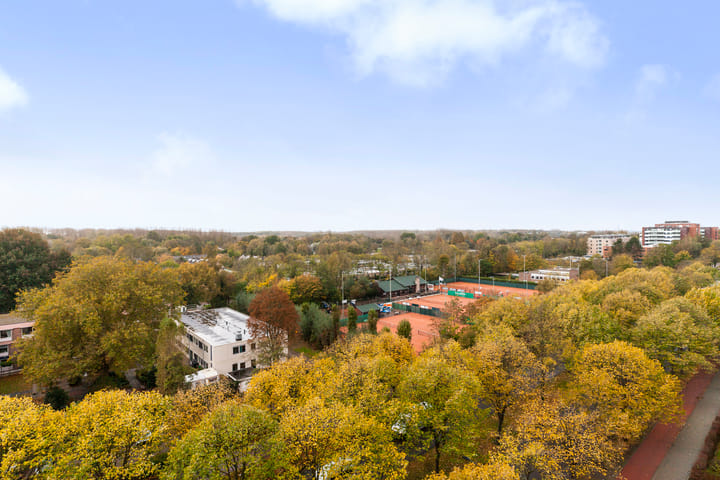 Foto 20 van Holysingel 242