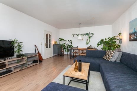 Holysingel 242 tertiary image