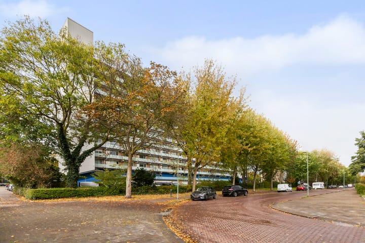 Foto 41 van Holysingel 242