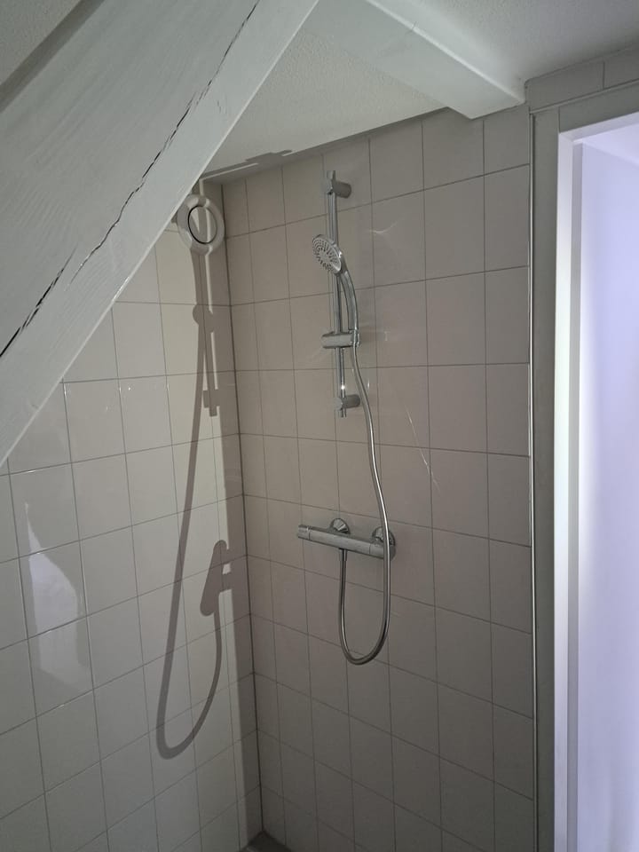 Foto 9 van Bloemstraat 11