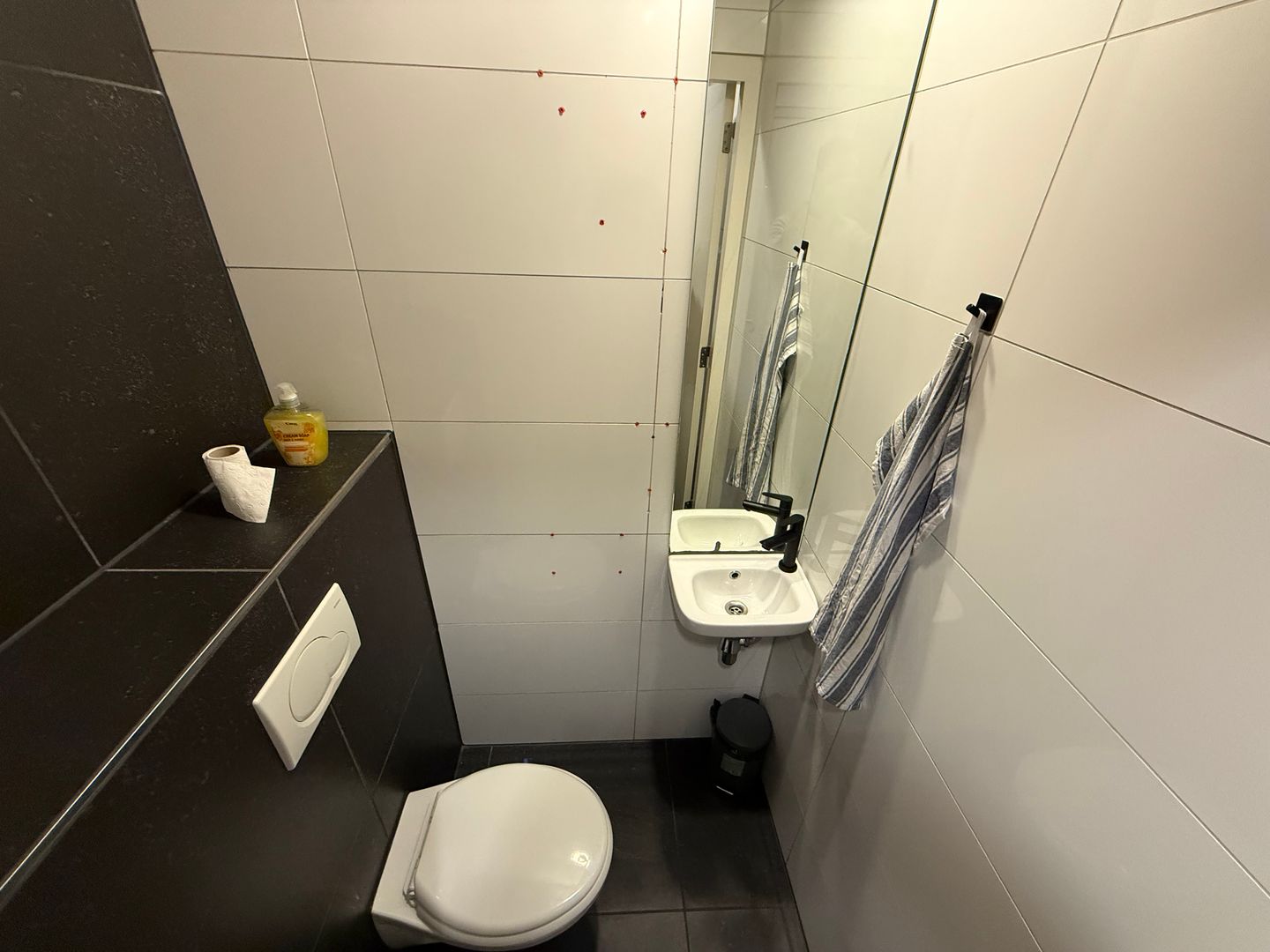 View photo 4 of Karel Doormanstraat 332