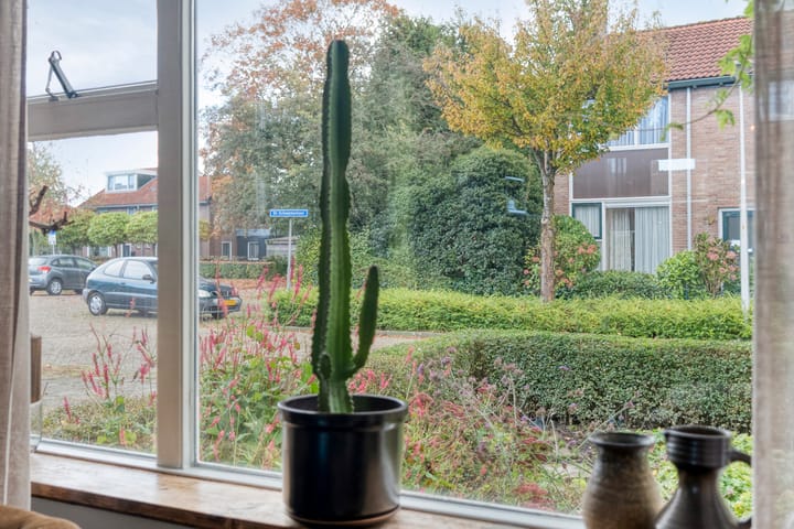 Foto 15 van Dr. Schaepmanlaan 6