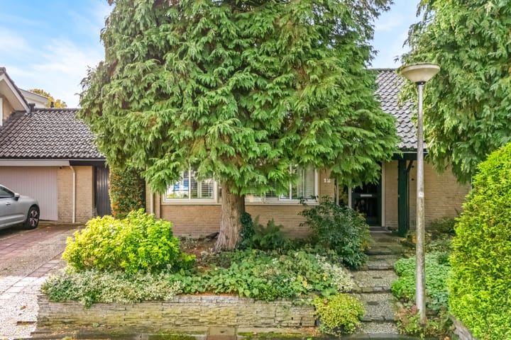 Photo 3 of Park Schoonoord 12