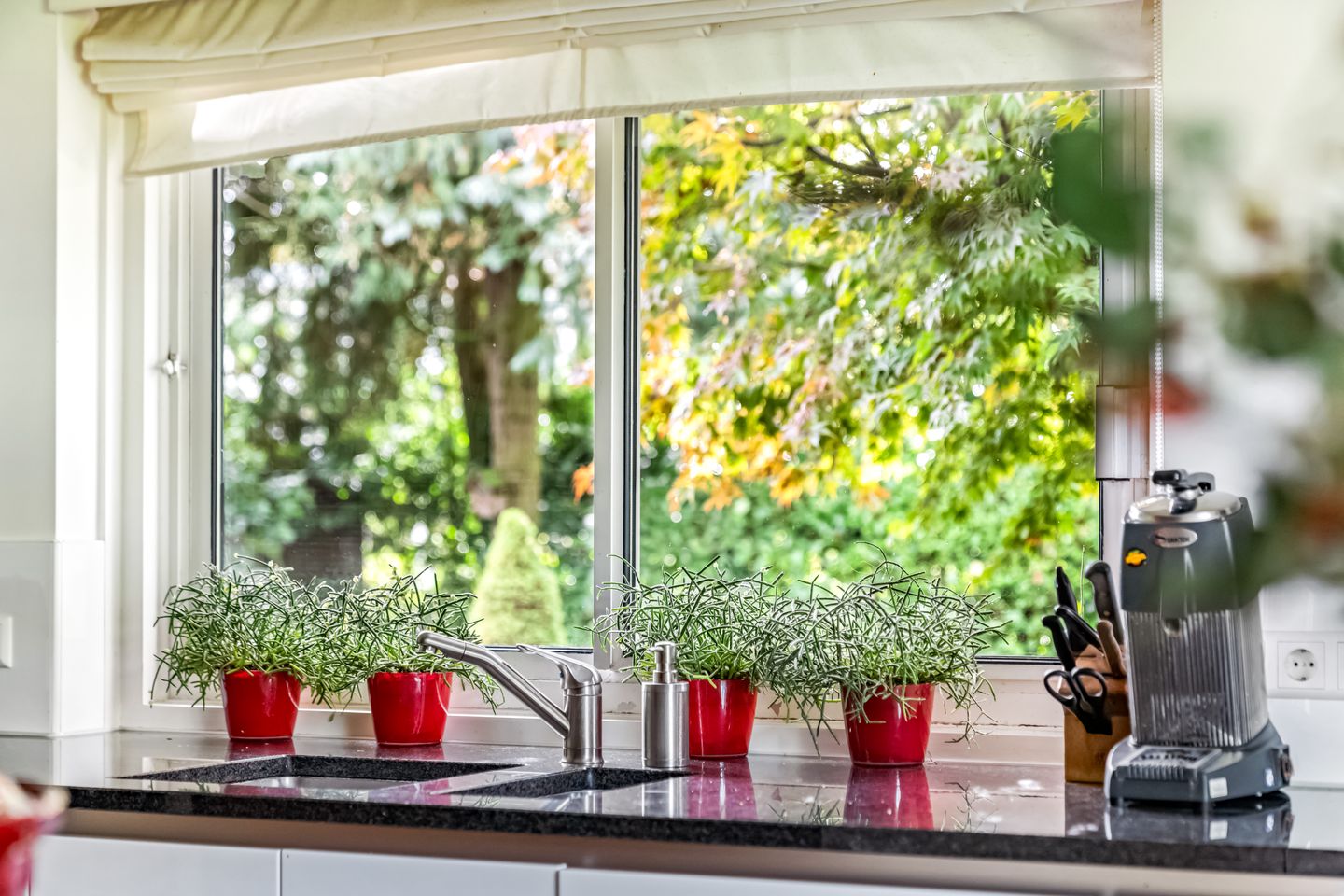 Foto 10 van Park Schoonoord 12