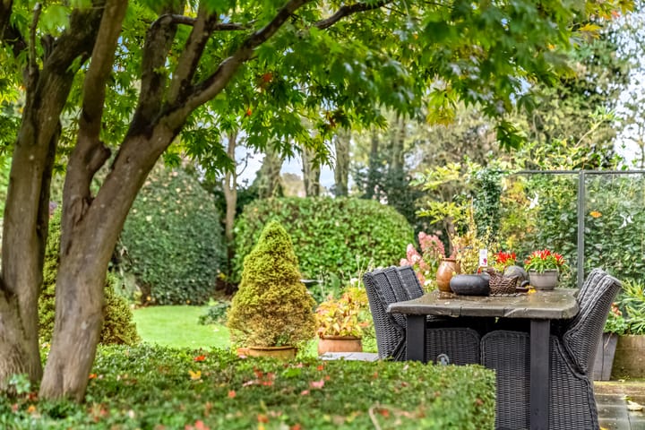 Photo 22 of Park Schoonoord 12