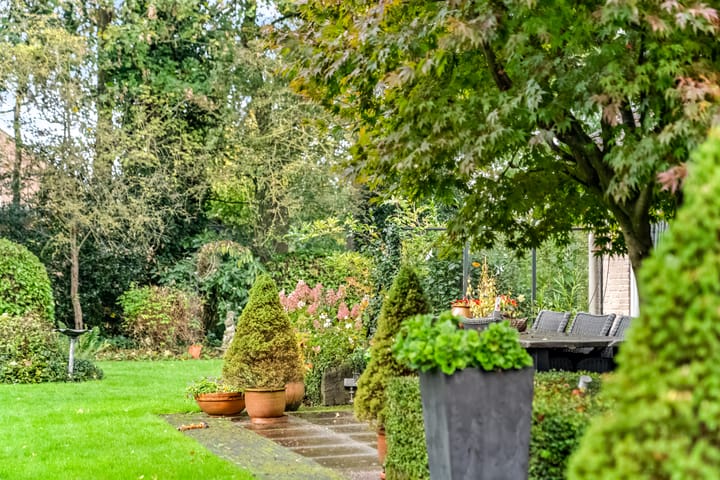 Photo 23 of Park Schoonoord 12