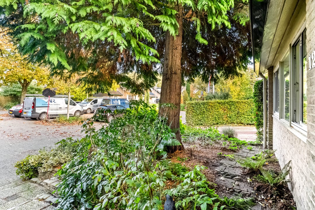 Foto 46 van Park Schoonoord 12