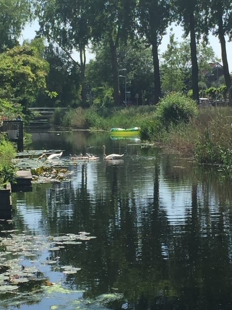 Foto 22 van Kortrijk 70