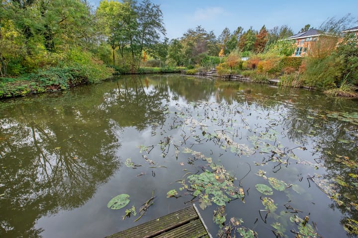 Photo 20 of Jaagpad 104