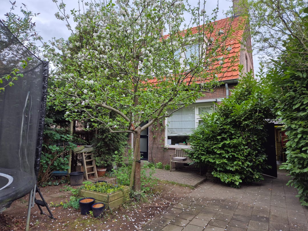 Foto 7 van Muntweg 492