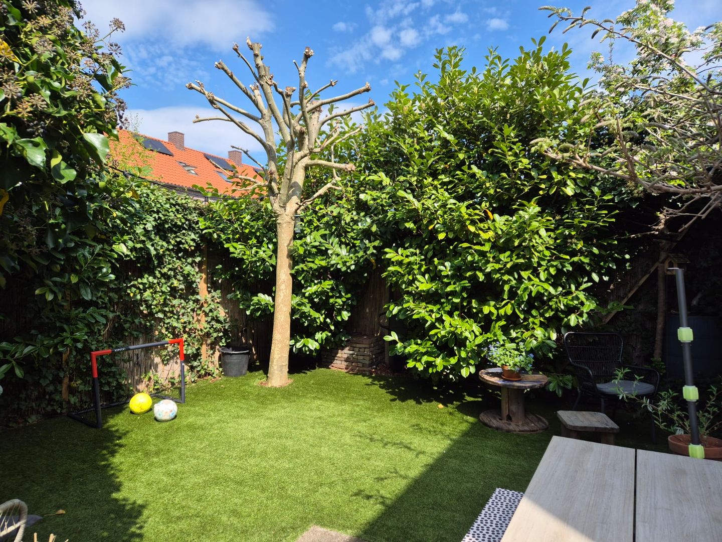 Foto 34 van Muntweg 492