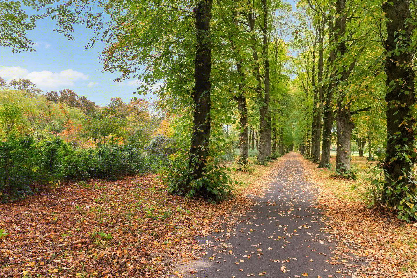 Foto 40 van Muntweg 492