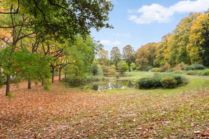 Foto 41 van Muntweg 492