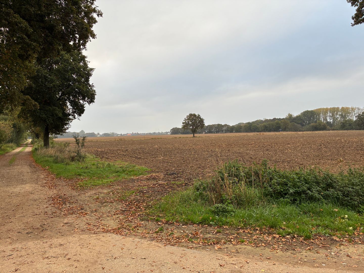 Bekijk foto 5 van Beekheuvel