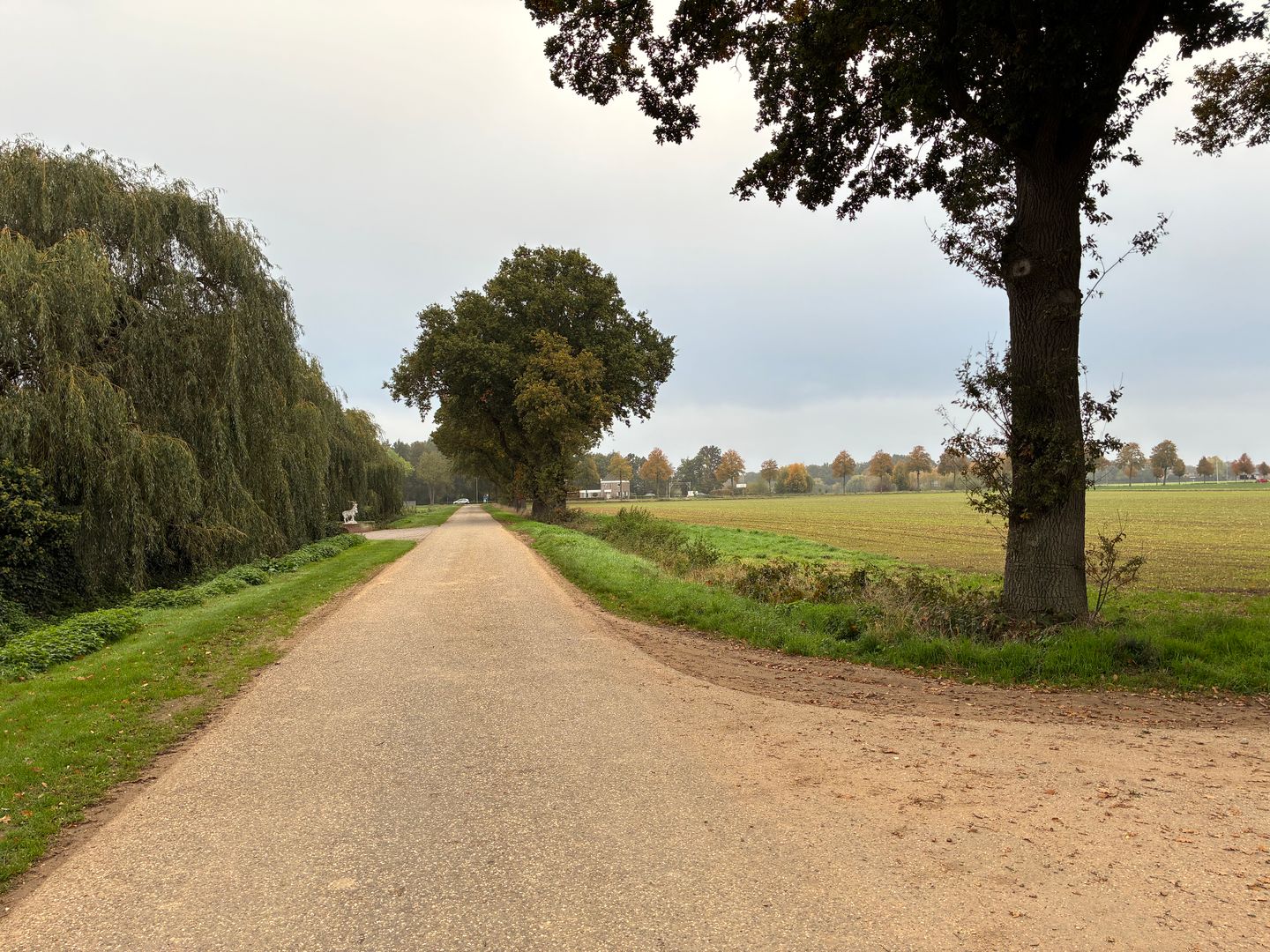 Bekijk foto 4 van Beekheuvel