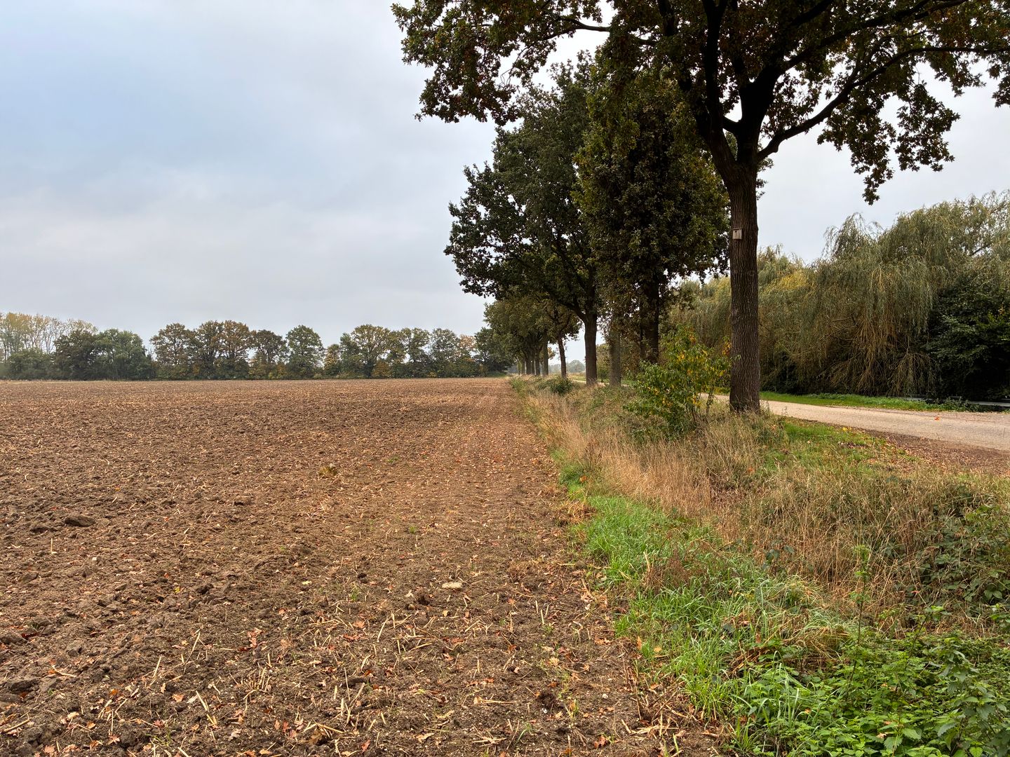 Bekijk foto 3 van Beekheuvel