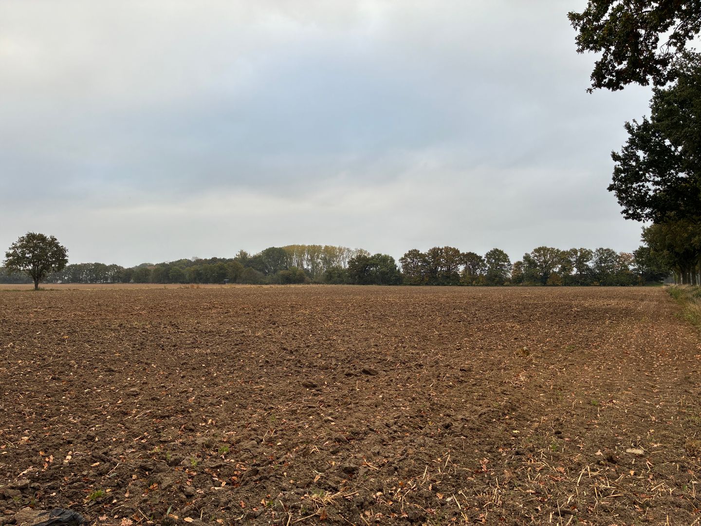 Bekijk foto 2 van Beekheuvel