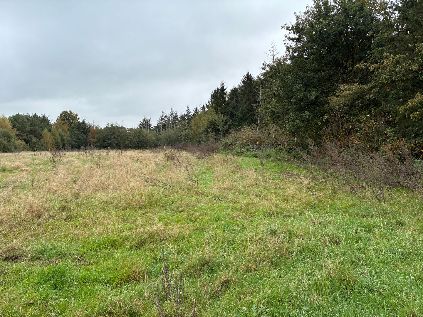 Bekijk foto 4 van Omgeving Dorperheideweg