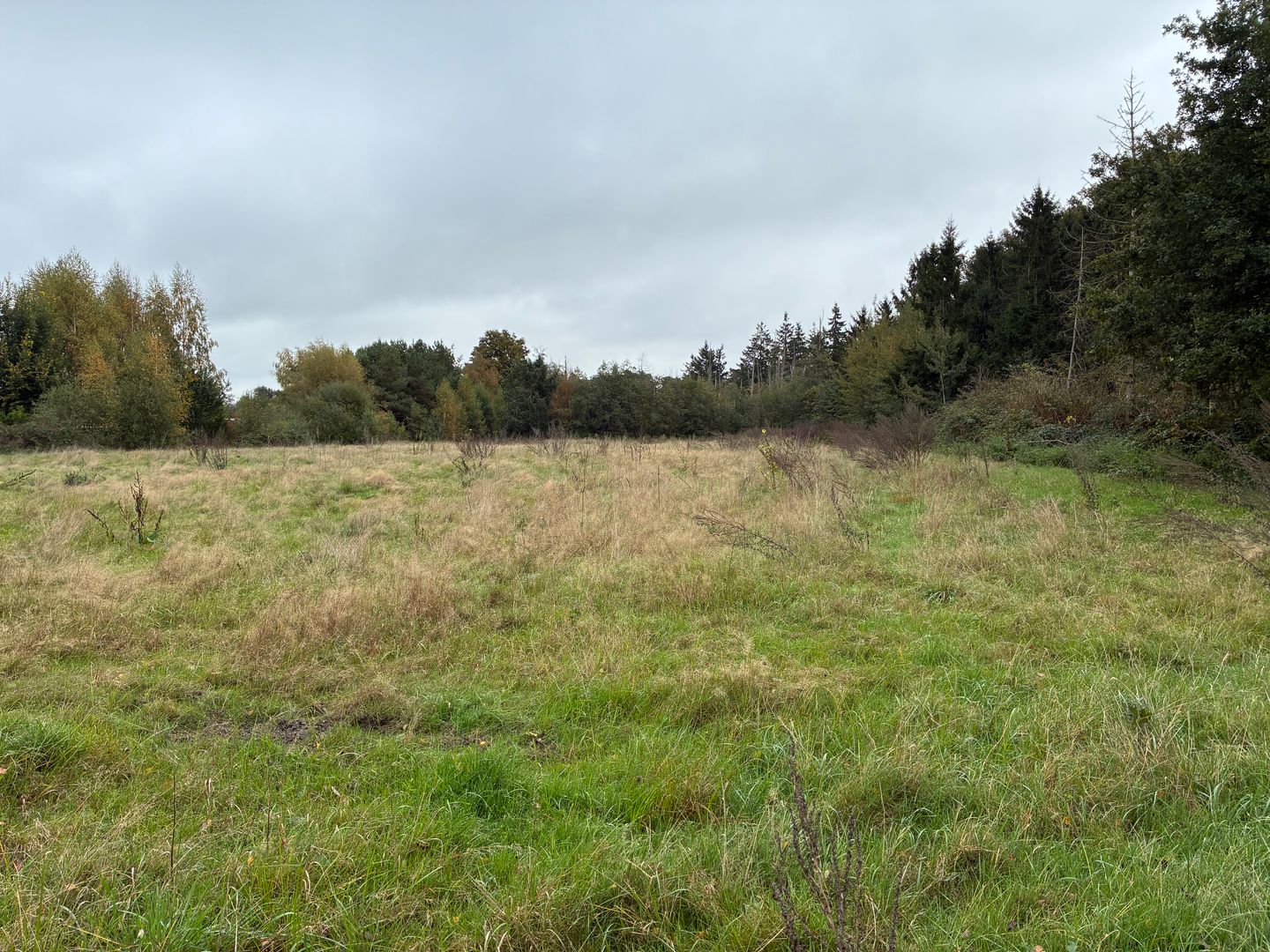 Bekijk foto 3 van Omgeving Dorperheideweg