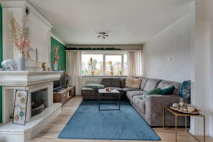 Foto 31 van van Laerstraat 4