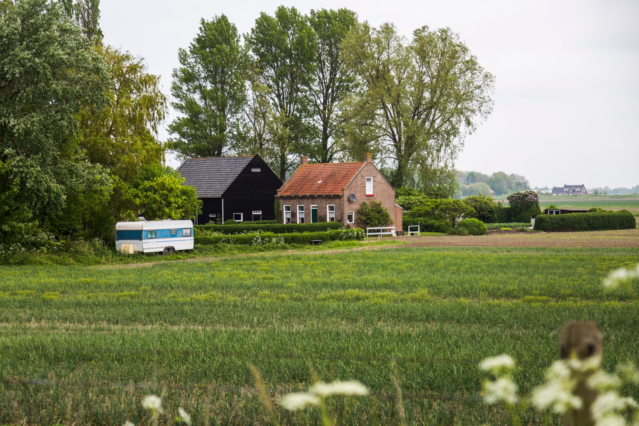 Photo 39 of Peppeldreef 44