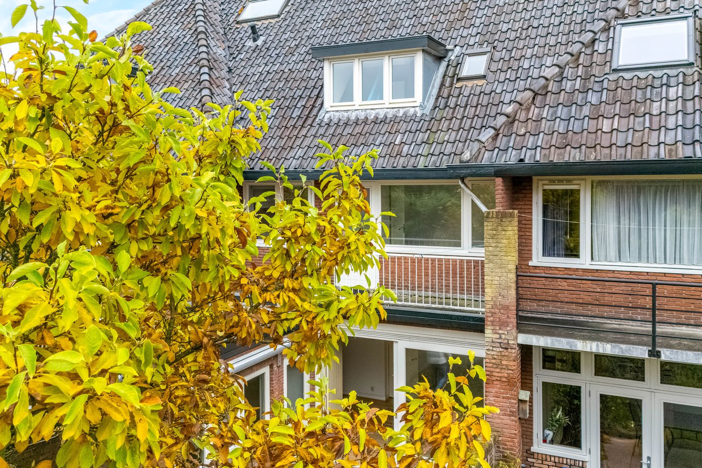 Foto 49 van Rubensstraat 97