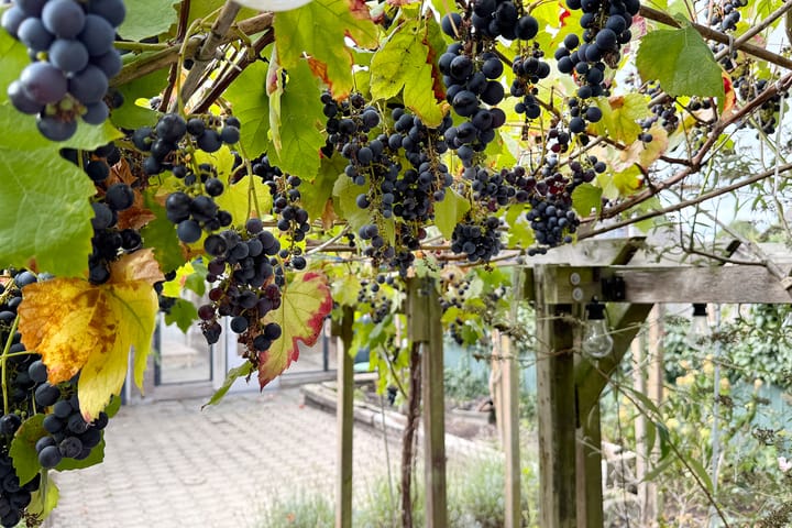 Photo 53 of Houtmolen 12