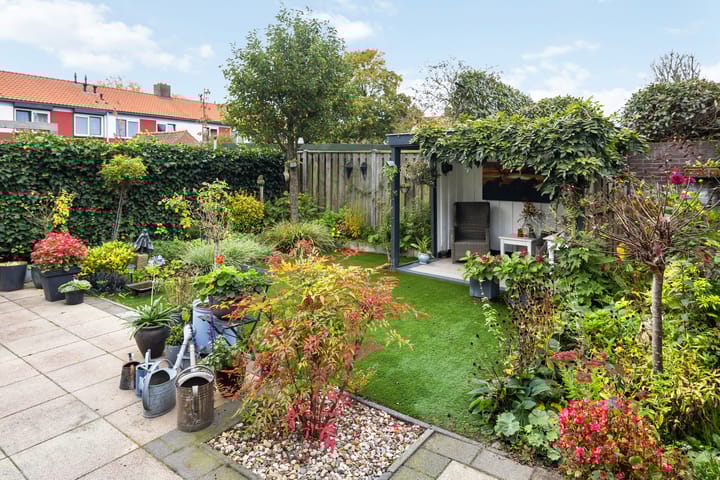 Foto 38 van Koningsspil 38