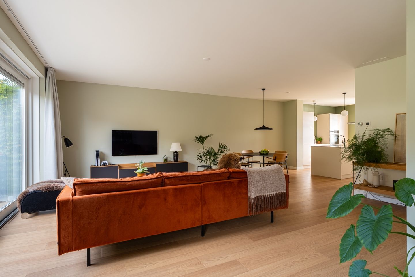 Foto 14 van Boomgaard 43