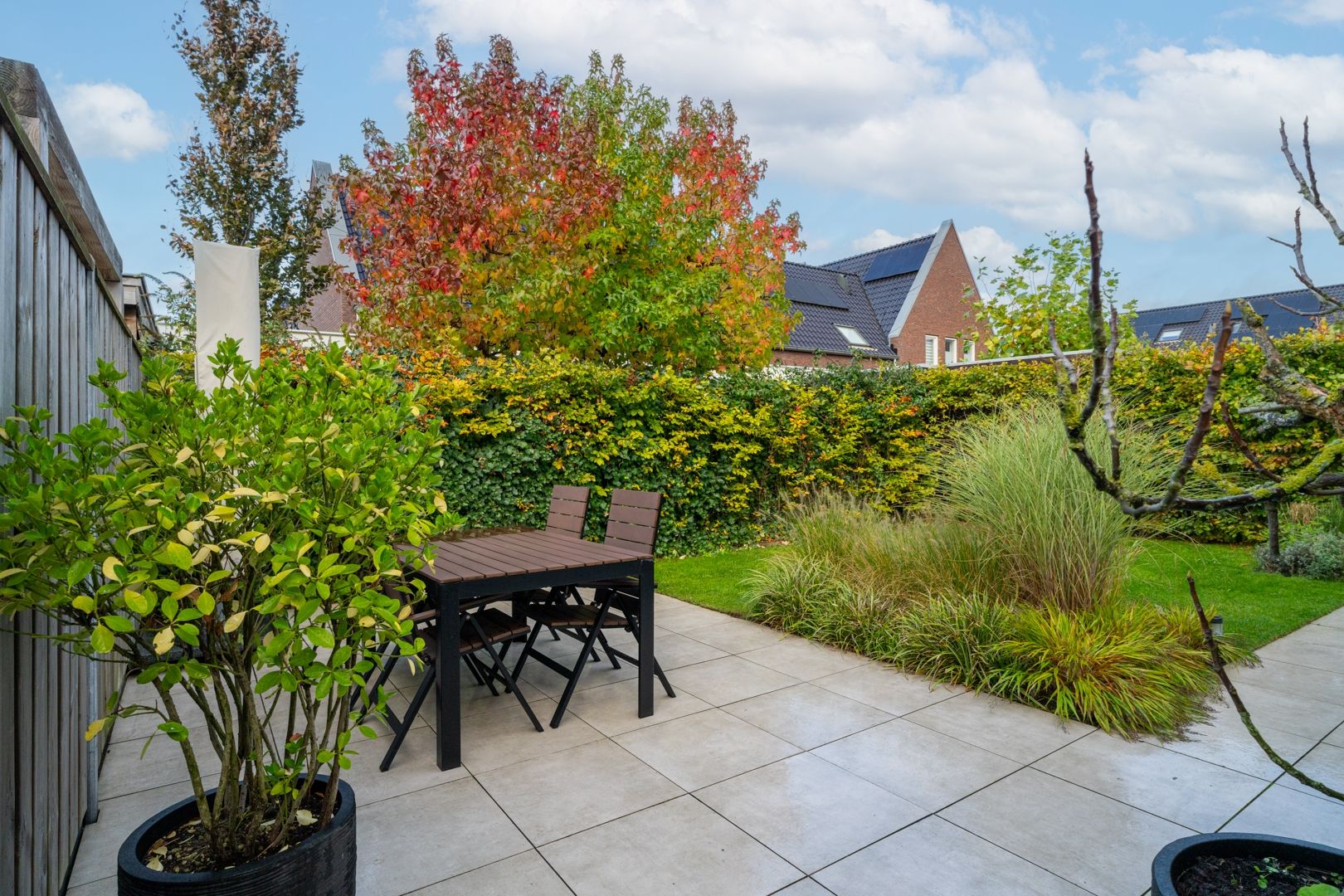 Foto 36 van Boomgaard 43