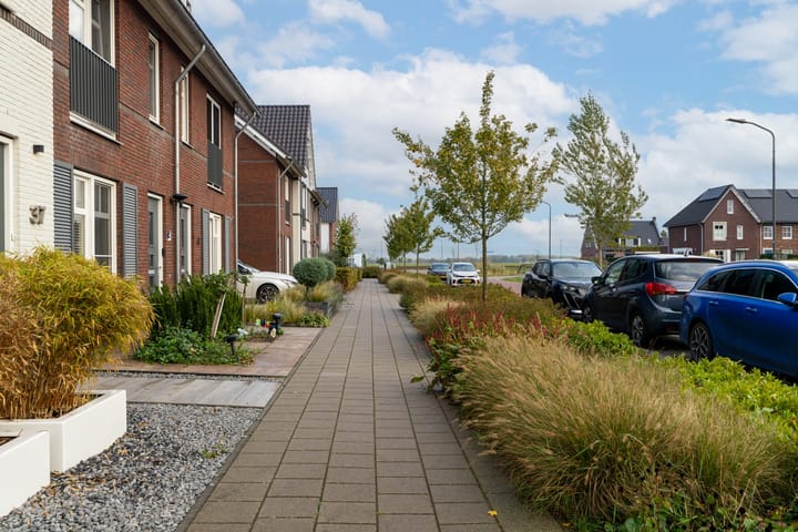 Photo 39 of Boomgaard 43