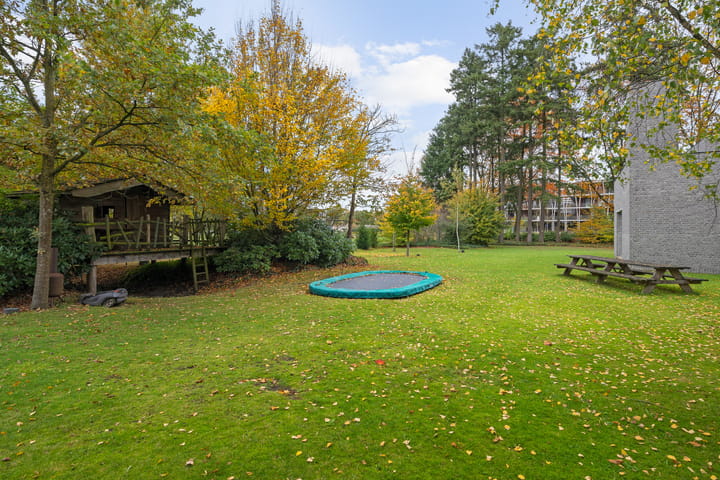 Foto 6 van Bosfazant 18