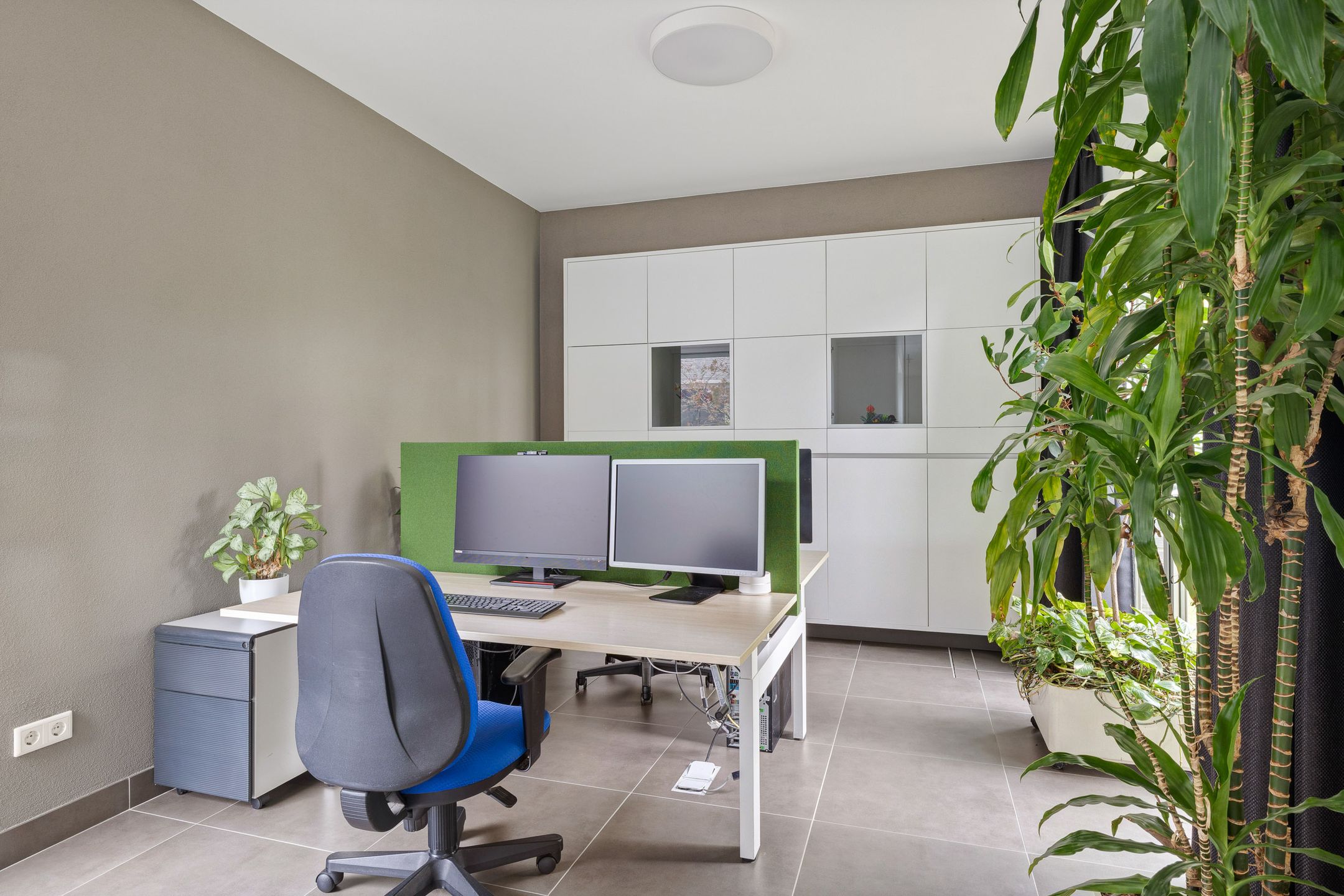 Foto 30 van Bosfazant 18