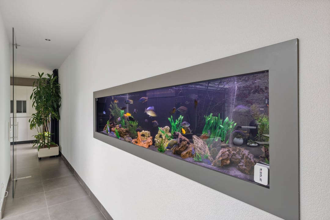 Foto 32 van Bosfazant 18