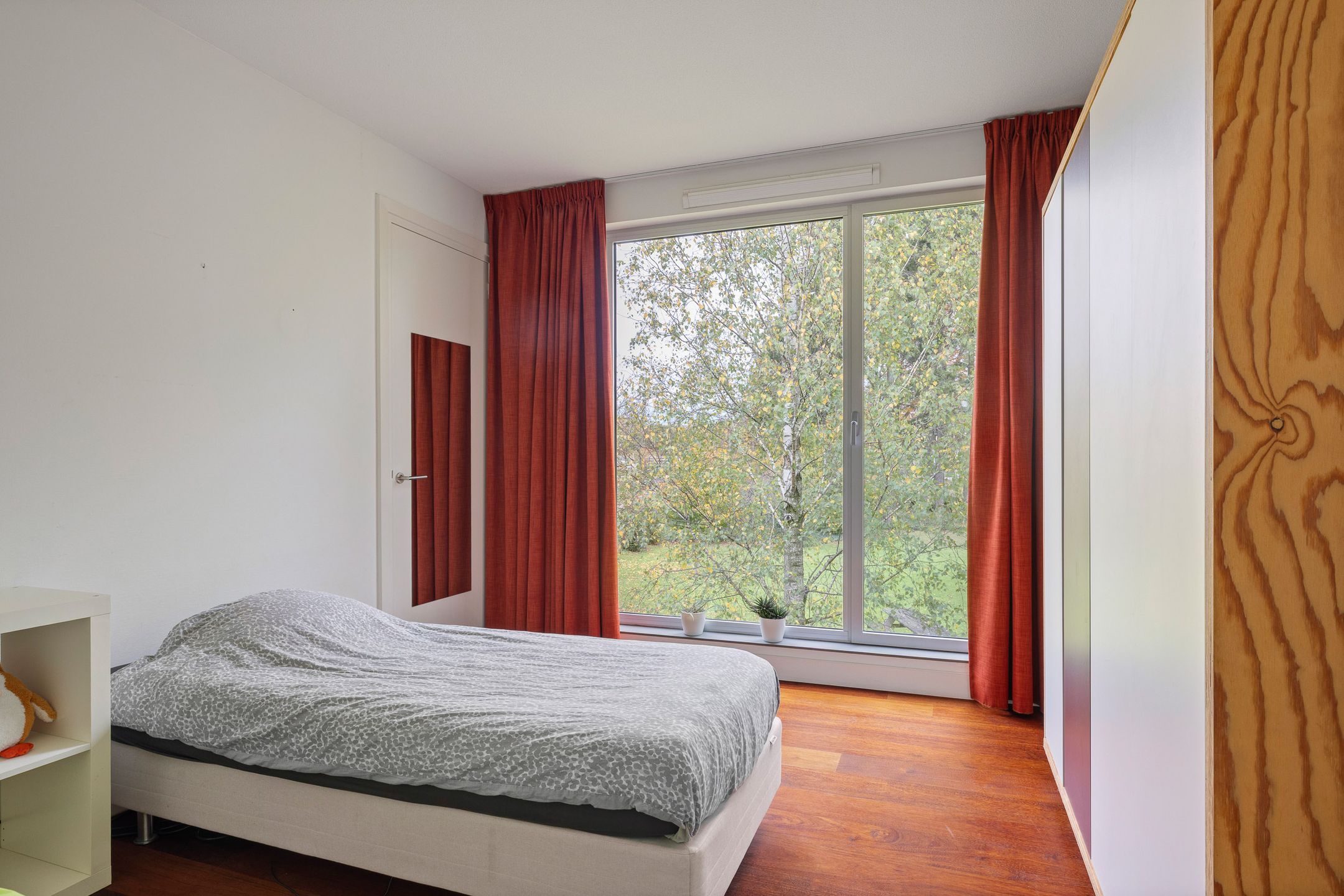 Foto 39 van Bosfazant 18