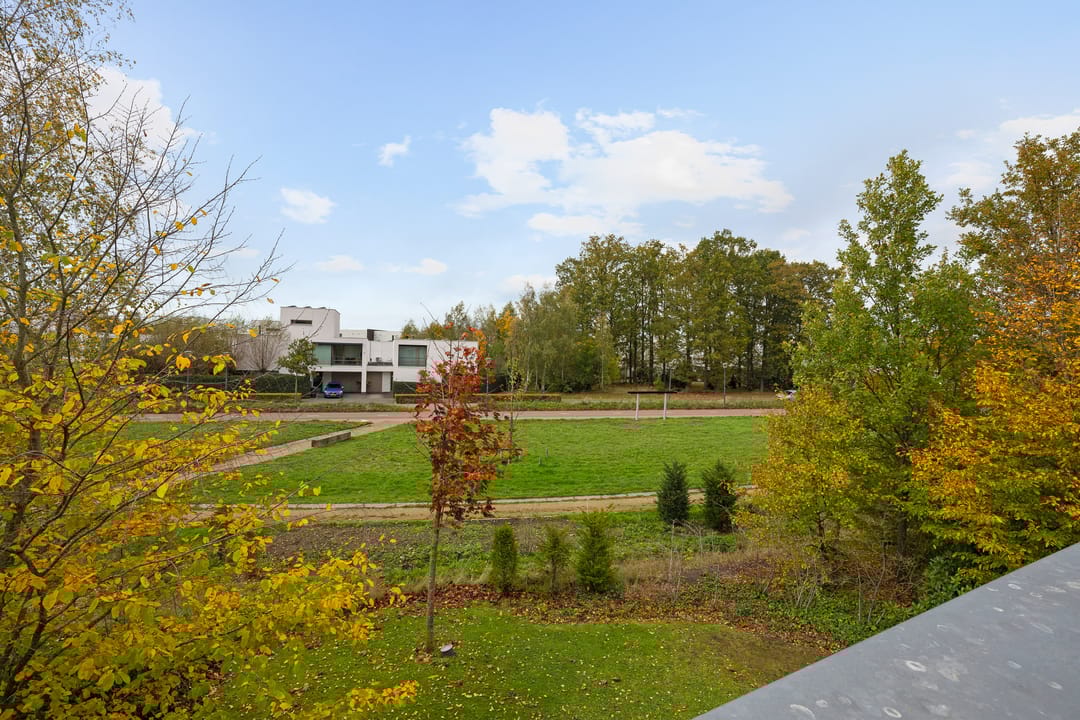 Foto 53 van Bosfazant 18