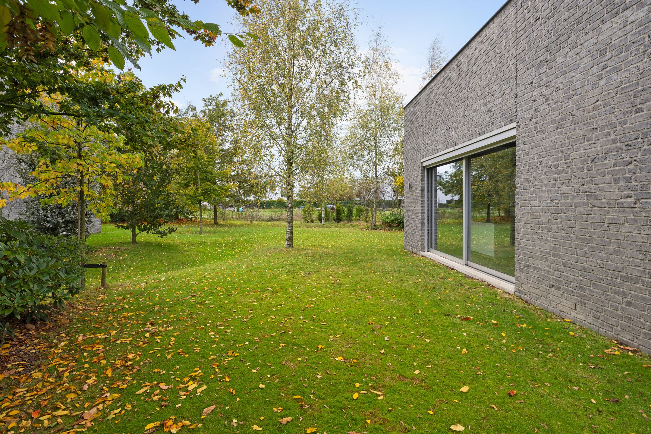 Foto 60 van Bosfazant 18