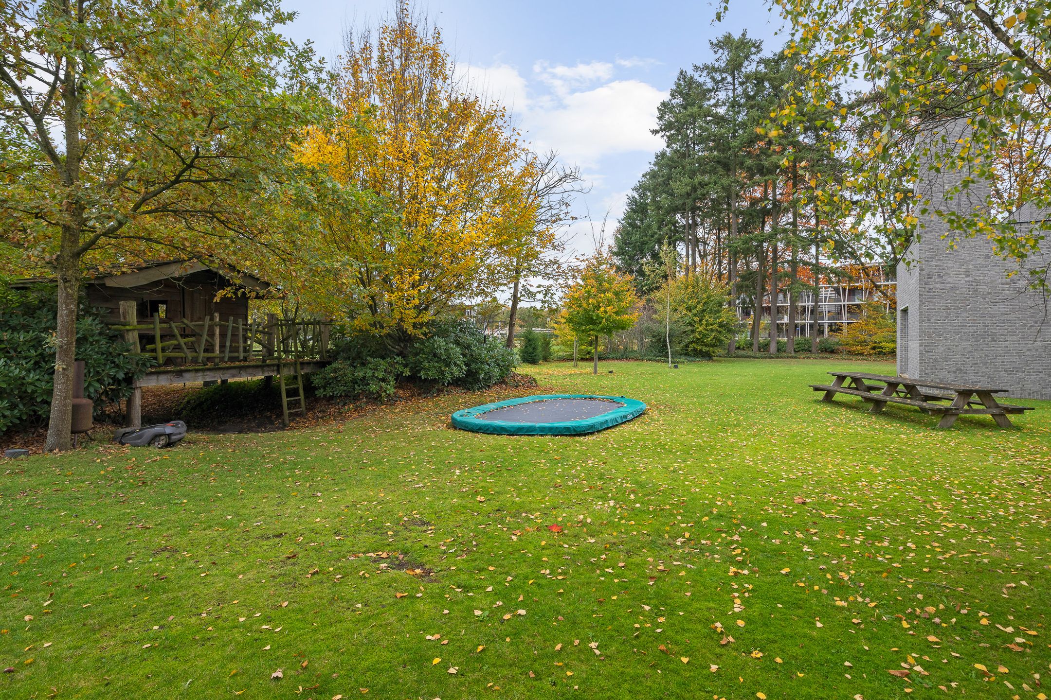 Foto 63 van Bosfazant 18