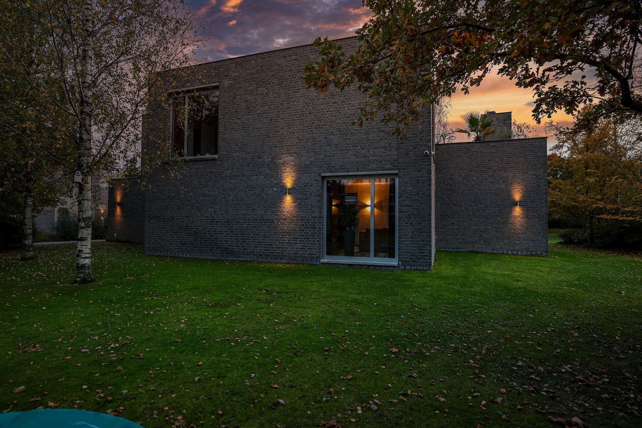 Foto 66 van Bosfazant 18