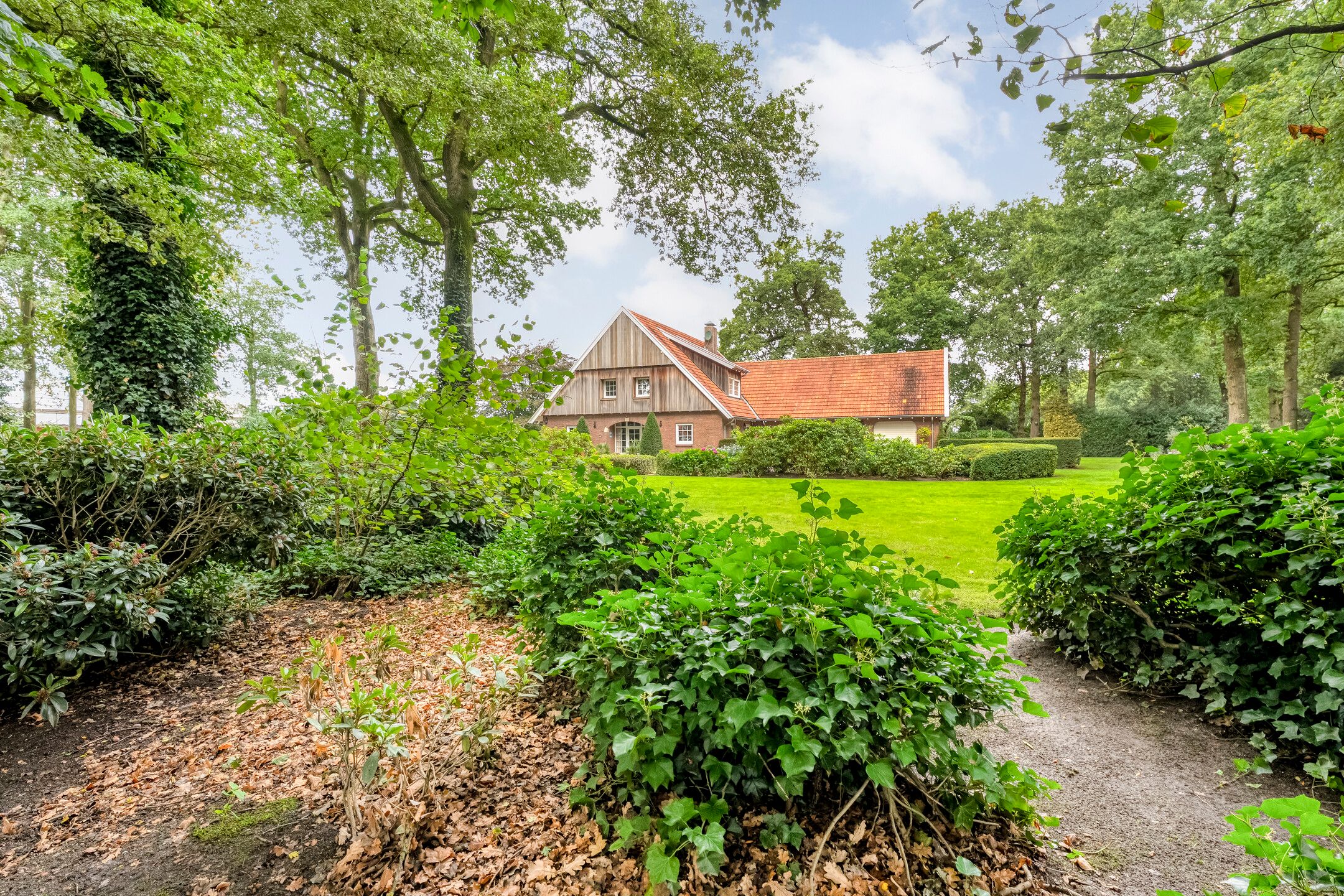 Foto 39 van Amsinksweg 25