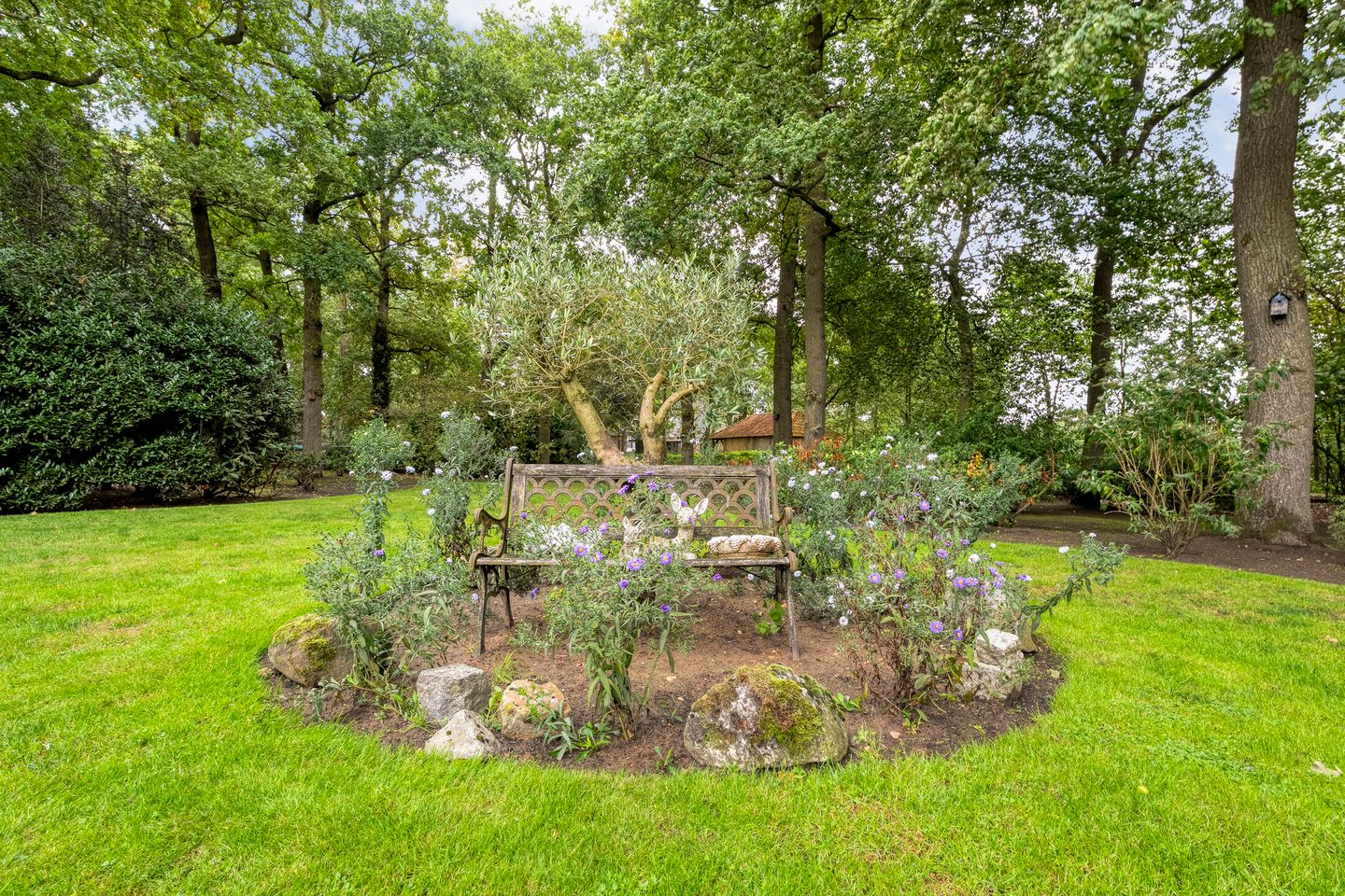 Foto 40 van Amsinksweg 25