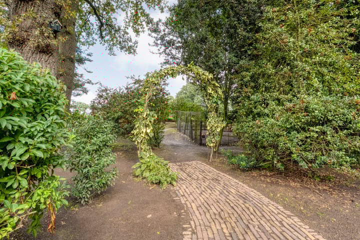 Foto 42 van Amsinksweg 25