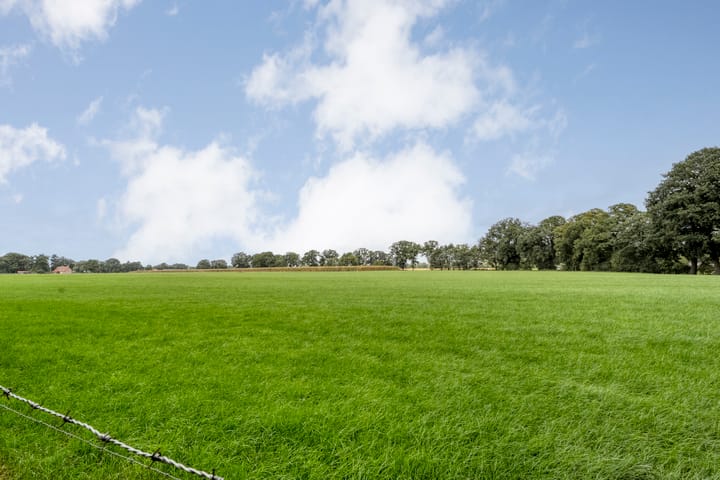 Foto 47 van Amsinksweg 25