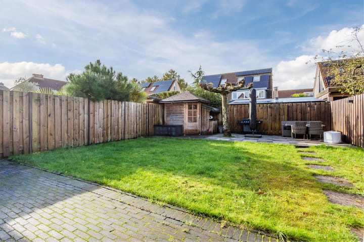 Foto 41 van Atalanta 147